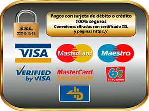 Pago Seguro Vis 7 MasterCard - SSl
